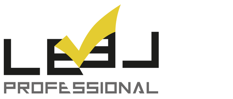 LEVEL PROFESIONAL ALICANTE Logo